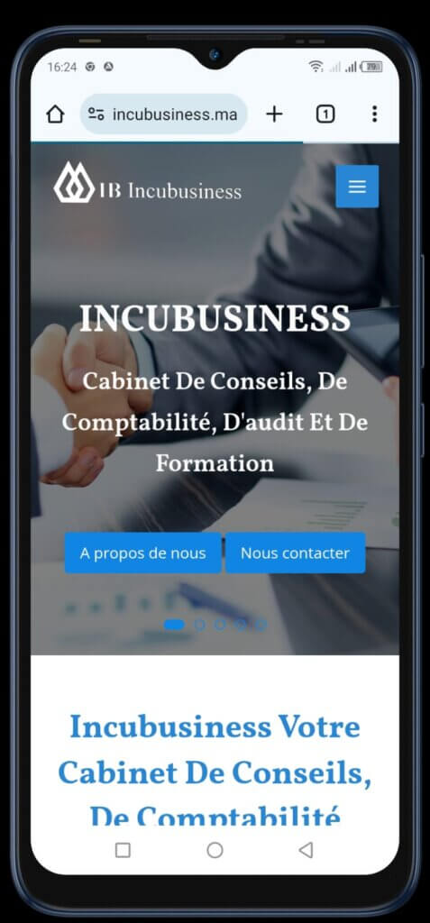 incubusiness